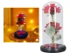 Eternal Rose in Glass Dome with LED RGB Light (Two Roses), Red