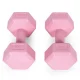 Modernhome HCD-4-PK Hex Dumbbells, 2x2 kg, Pink