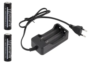 Charger + 2x 18650 Li-ion Batteries
