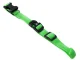 LED Glowing Collar for Dogs and Cats, Adjustable 36-59 cm, Green