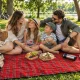 Foldable Picnic and Beach Blanket, Waterproof, 150x200cm, Red