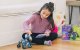 Pyxel Robot Dog Remote Control Using Coding Programming