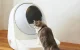 Intelligent self-cleaning cat litterbox Catlink Pro-X Luxury Version, 13L