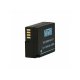 Запасной аккумулятор Newell DMW-BLC12 (1200 мАч)