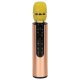Wireless Karaoke Microphone for Kids with Bluetooth Speaker 2000mAh SD USB, Gold