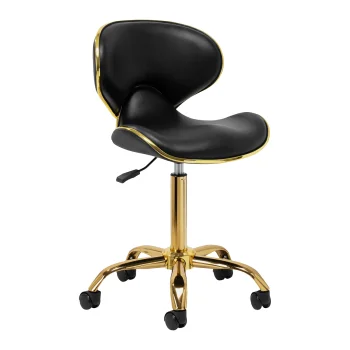 Gabbiano Q-4599G Beauty Stool with Backrest, Black