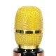 Wireless Karaoke Microphone for Kids with Bluetooth Speaker 2000mAh SD USB, Gold