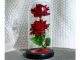 Eternal Rose in Glass Dome with LED RGB Light (Two Roses), Red