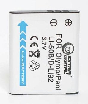 Panasonic, battery VW-VBX090