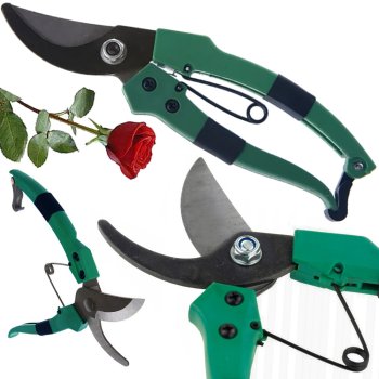 Garden pruner for grafting trees and shrubs green, 18x11 cm