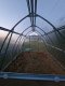 Baumera KLASIKA ARROW Greenhouse 3x6m (18m2), 4mm Polycarbonate