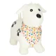 Rubber Bouncy Dog Toy with Pump for Kids