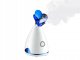 Ionic Facial Inhaler Sauna Spa Skin Moisturizing Steamer Pores Cleaning Machine Blackhead Removal, Blue