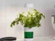 LED Plant Grow Light with Self-Watering Pot, 5W, White