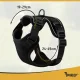 Purlov 26868 Pressure-Free Harness for Dogs and Cats with Leash, Size S