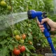 Expandable Garden Hose with Spray Gun 5-15m, Blue