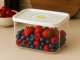 Airtight Food Storage Container with Date Tracker Lid 2.5L Kitchen Organizer