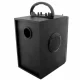 Portable Bluetooth Speaker with FM Radio and Remote, Black