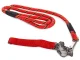 Traditional dog leash with strong collar, 120cm x 1.3cm, red