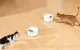 Catlink F03 Standard Smart Cat Food Dispenser with RFID