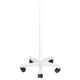 Azzurro H1106 Sonia Facial Steamer (Vapozone)