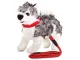 Traditional dog leash with strong collar, 120cm x 1.3cm, red