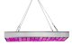 225 LED Lamp Panel for Plant Growth Gardening
