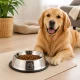Stainless Steel Dog and Cat Bowl with Rubber Base 1.3L, Silver