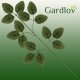 Gardlov Artificial Rose Leaf Branches, 51 cm, Set of 12