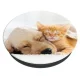 Popsockets 2 Cat & Dog Holder and Phone Stand