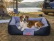 Dog Bed Przyjaciele, 90 x 70 cm, Rectangular Sofa with Removable Cover