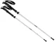 Folding Trekking and Nordic Walking Poles, Silver