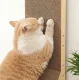 Corner Cat Scratcher with Toy, Beige