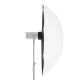 Newell 140 cm Diffusing Softbox Umbrella