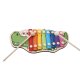 Xylophone Educational Wooden Cymbals For Kids \"Crocodile\" + Music notes