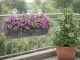 Automatic Plant Watering Globes System 8 Pack, transparent