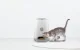Smart Pet Feeder Petoneer Nutri Vision PF007 Camera 3.7L WiFi