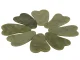 Jade Gua Sha Massage Stone for Face and Body