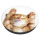 Popsockets 2 Snoozy Cat держатель и подставка для телефона