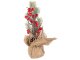 Christmas Table Centerpiece, Decoration