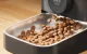 Automatic Pet Feeder Oneisall PF05 3L Smart Food Dispenser with Stainless Steel Bowl