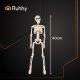 Posable Hanging Skeleton Halloween Decoration 40cm Ruhhy 26027