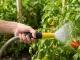 Garden Hose Spray Gun with Connectors, Yellow-Black