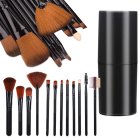 Professional 12-Piece Makeup Brush Set, Black and Brown