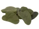 Jade Gua Sha Massage Stone for Face and Body