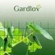 Gardlov Plant Support Net for Climbing Plants 2x10m, Green