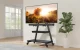 Perlegear PGFS08-US Floor TV Mount 43-80\"