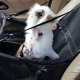Purlov 20973 Cat Dog Animal Pets Transportation Carrying Bag