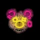 Forever Light ART LED Neon Sign PUNK MIŚ, Pink/Yellow