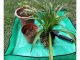 Large Plant Flower Transplanting Mat